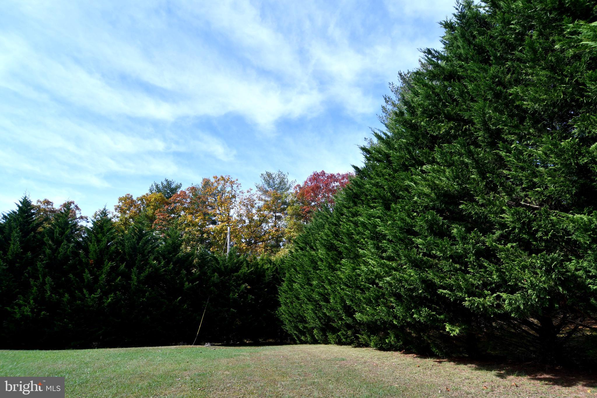 2497 Mountain Run Road Berkeley Springs, WV 25411 - Photo 55 of 67 Gallery Image 55