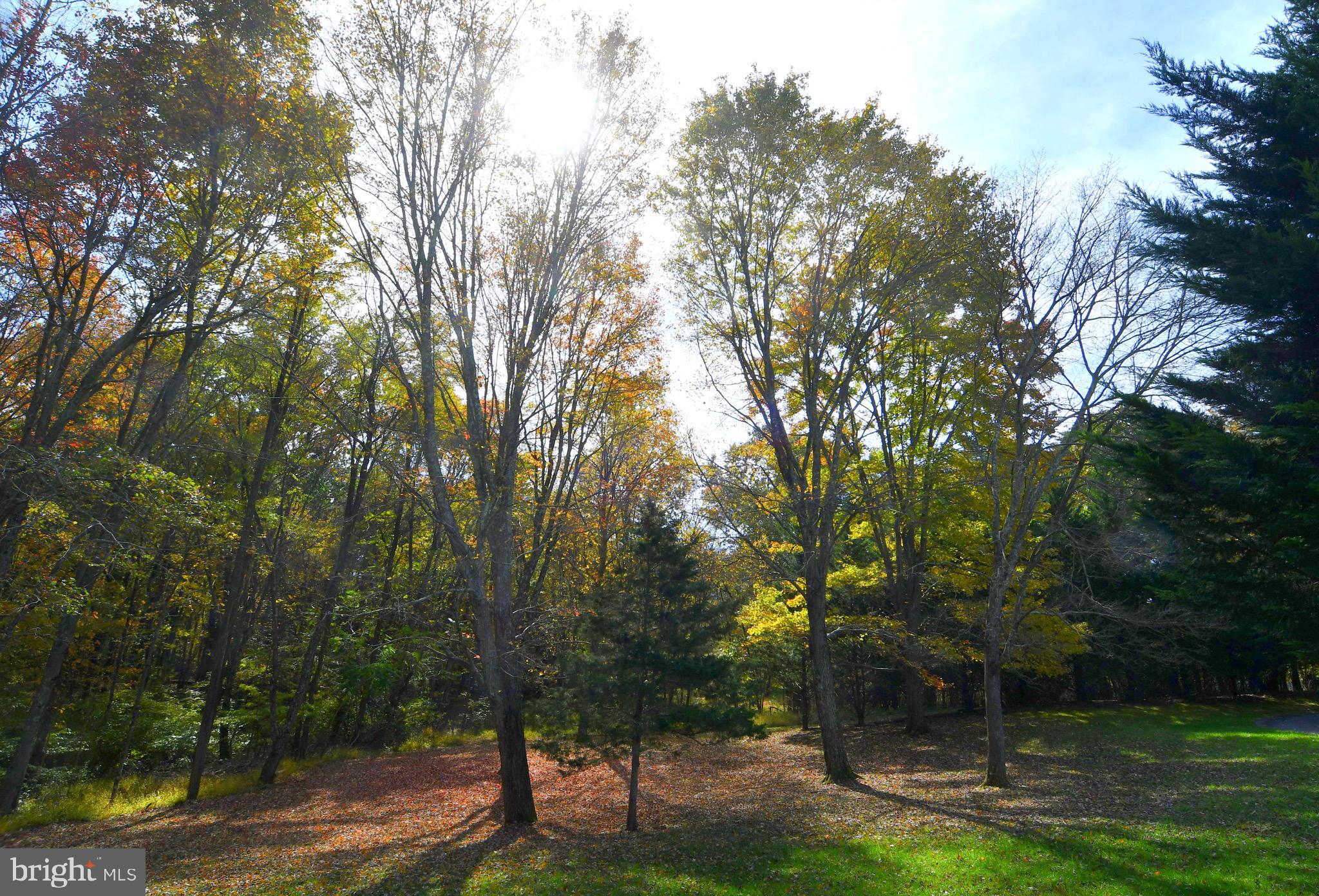 2497 Mountain Run Road Berkeley Springs, WV 25411 - Photo 61 of 67 Gallery Image 61
