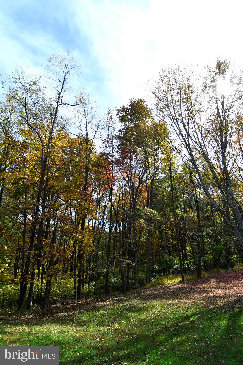 2497 Mountain Run Road Berkeley Springs, WV 25411 - Photo 62 of 67 Gallery Image 62