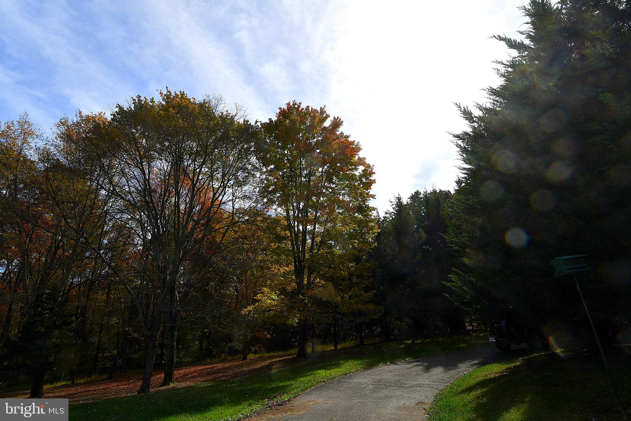 2497 Mountain Run Road Berkeley Springs, WV 25411 - Photo 65 of 67 Gallery Image 65
