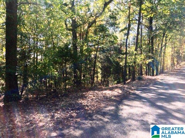 0 Whispering Pines Road, Unit 1 AMD 2 Oxford, AL 36203 - Photo 17 of 30