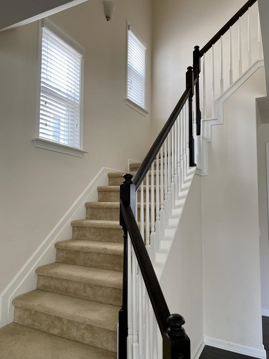 7008 Reedybrook Crossing Apex, NC 27523 - Photo 10 of 26 Photo 10