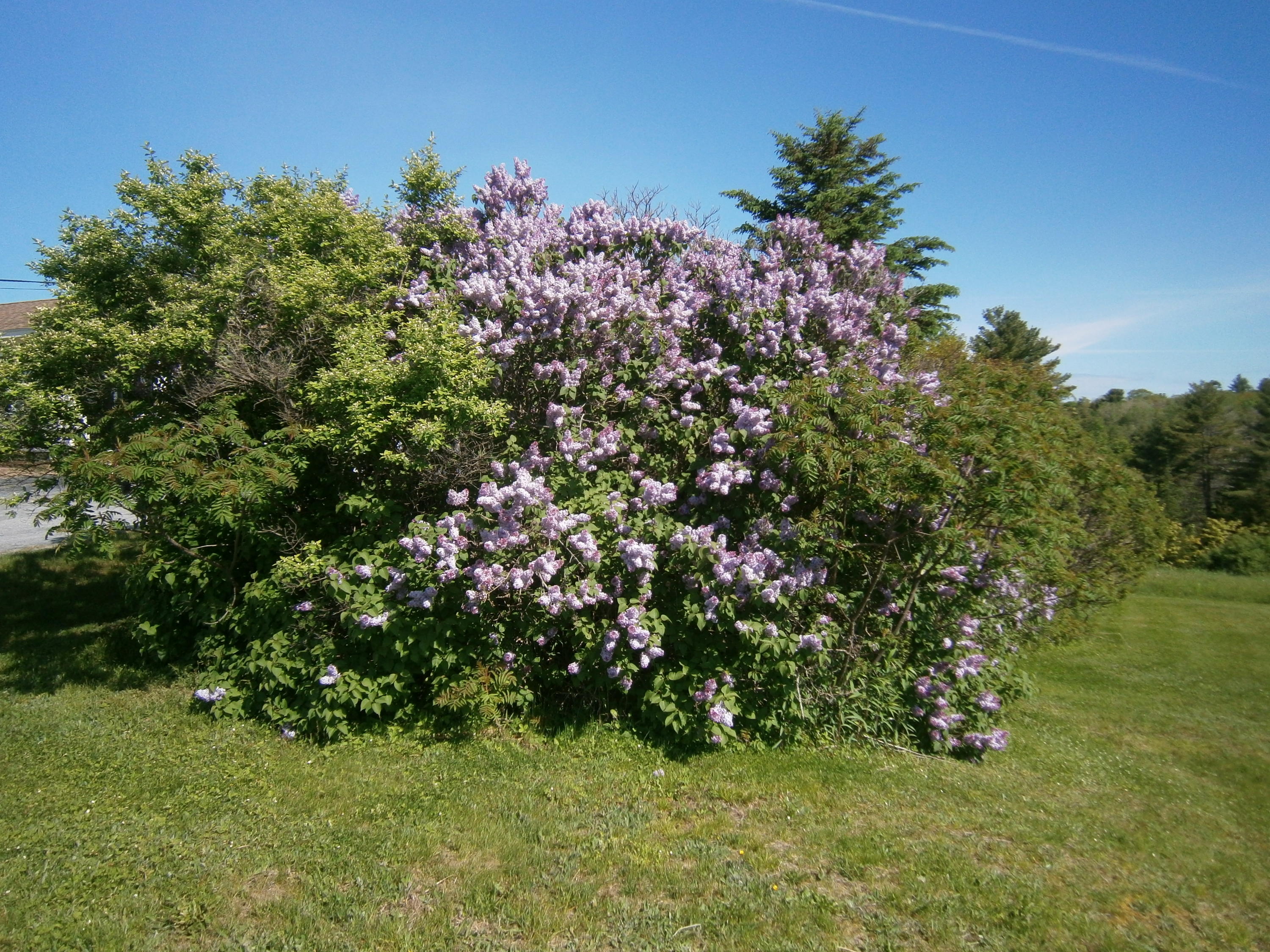263 River Road Lagrange, ME 04453 - Photo 17 of 26 P6091605