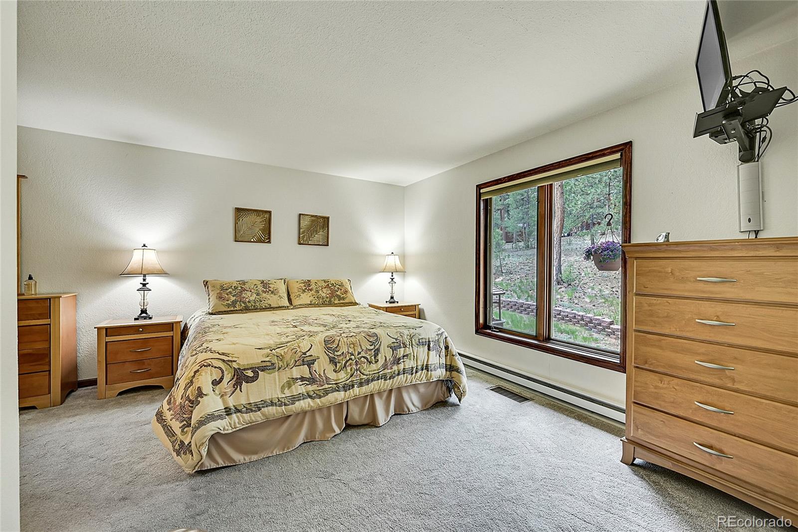 126 Victoria Road Pine, CO 80470 - Photo 23 of 46 Gallery Image 23