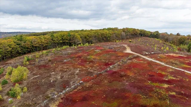 $299,000 | 562 Beech Hill Road, Northport, ME 04849