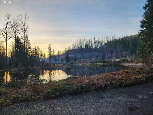 $74,900 | 54432 McKenzie Highway, Unit 9, Blue River, OR 97413