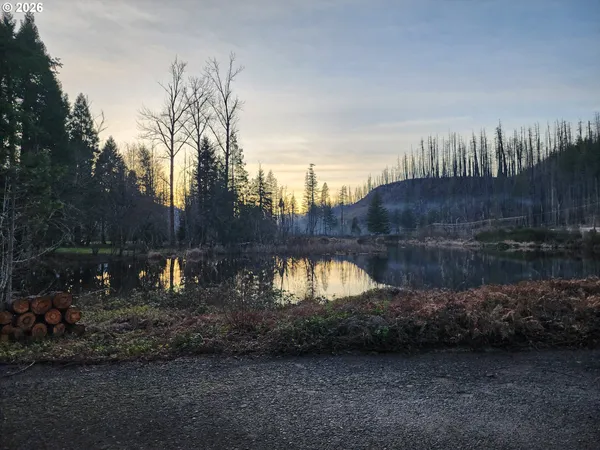 $74,900 | 54432 McKenzie Highway, Unit 9, Blue River, OR 97413