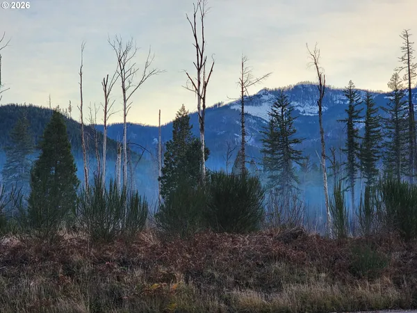 $74,900 | 54432 McKenzie Highway, Unit 9, Blue River, OR 97413