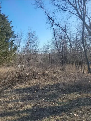 $6,500 | 98 Maple Drive, Linn Valley, KS 66040