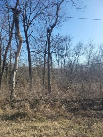 $6,500 | 98 Maple Drive, Linn Valley, KS 66040