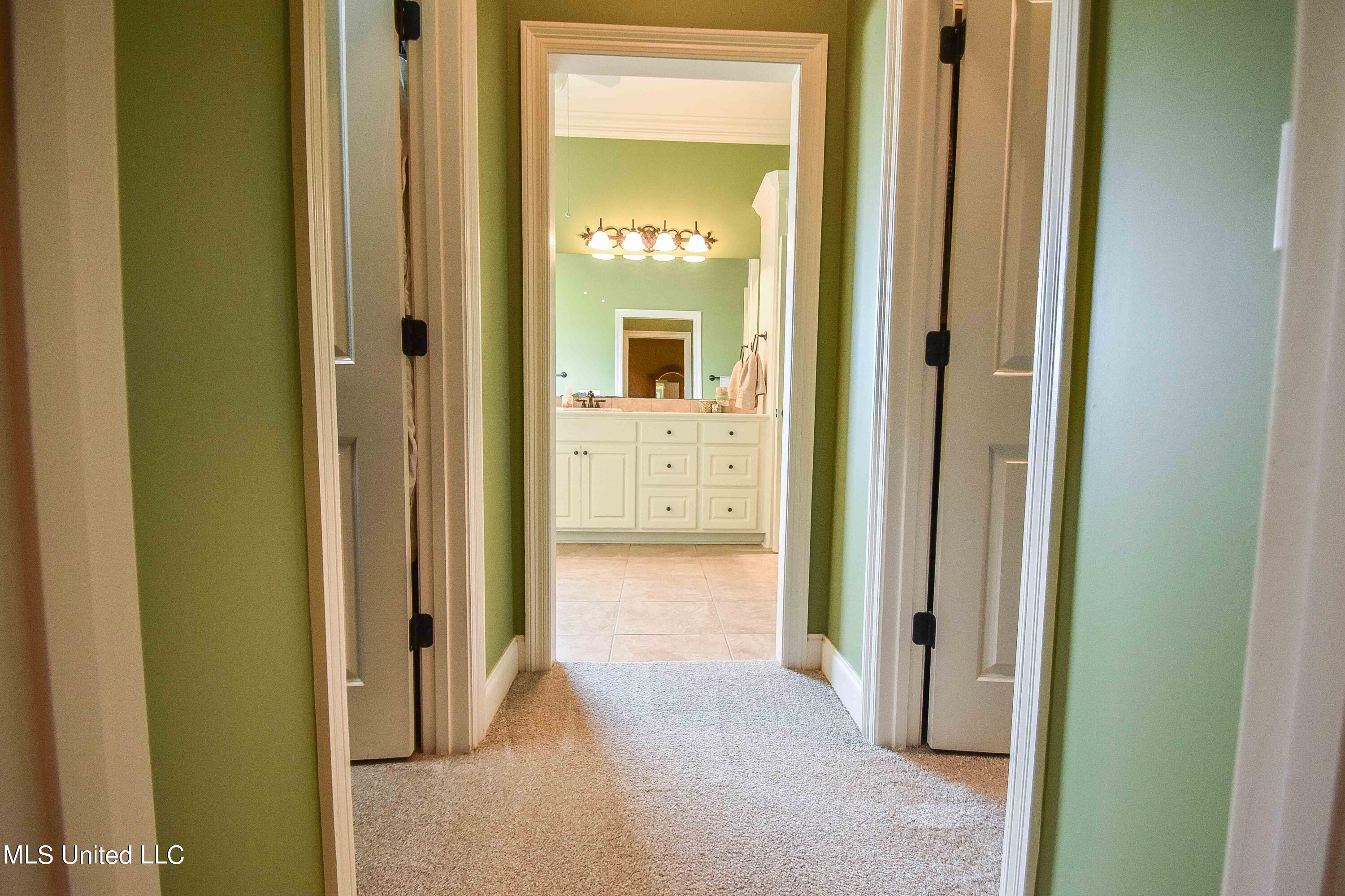310 Faith Way Brandon, MS 39042 - Photo 24 of 47 image-16