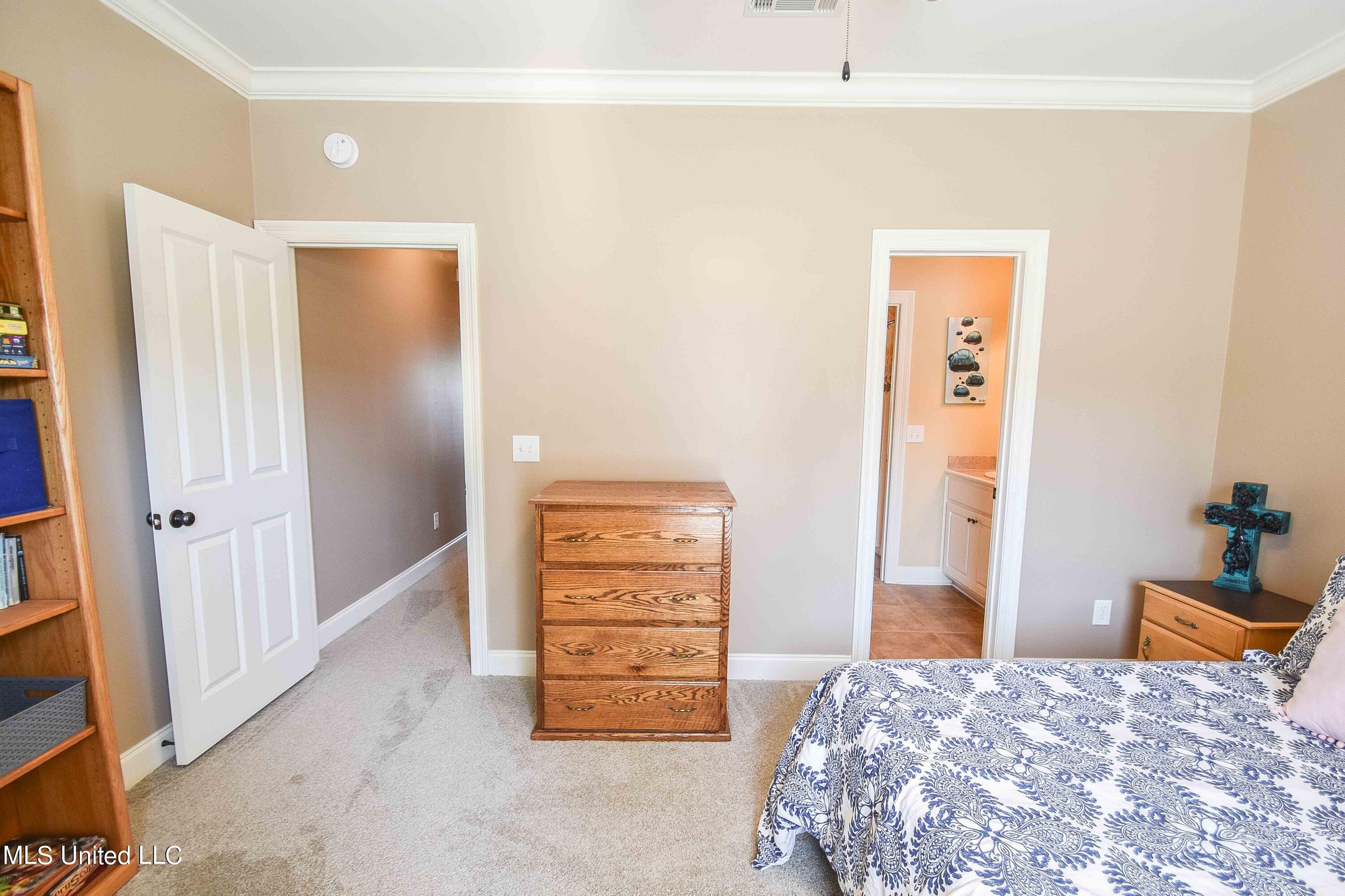 310 Faith Way Brandon, MS 39042 - Photo 33 of 47 image-30