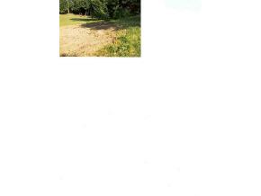 0 Stoddard Road Rockingham, VT 05101 - Photo 1 of 1
