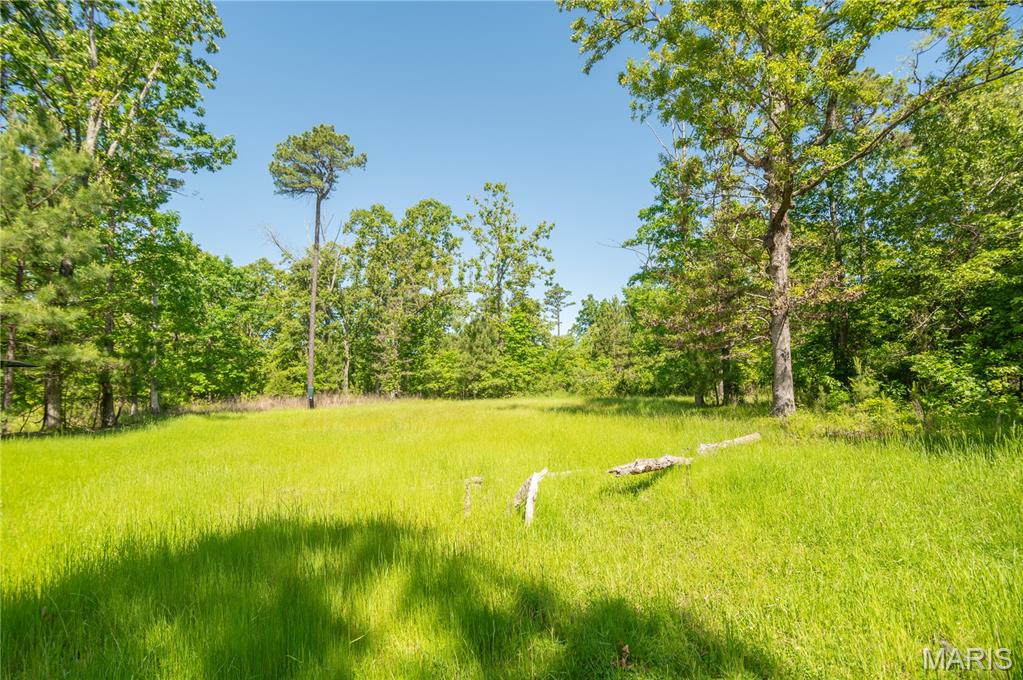 1743 Ripley Route North Doniphan, MO 63935 - Photo 80 of 97
