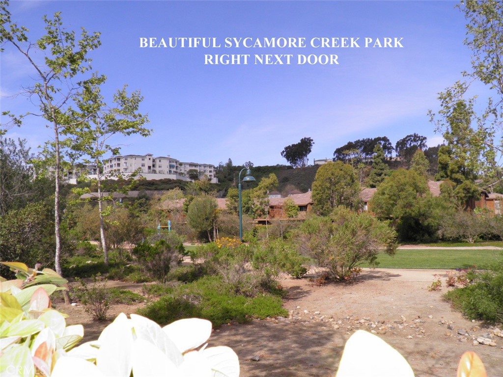 25611 Quail Run, Unit 61 Dana Point, CA 92629 - Photo 10 of 29 a view of a backyard