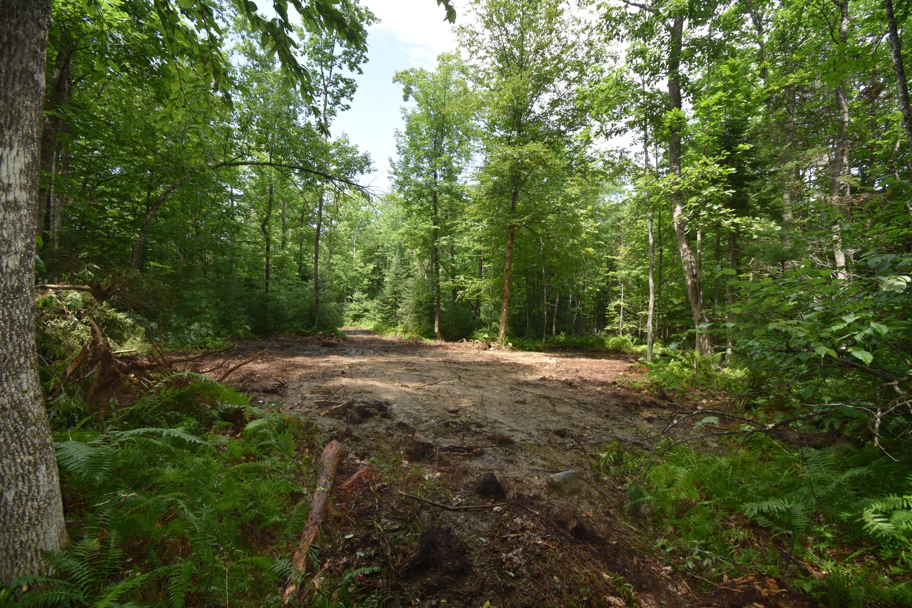 0 Winthrop Road Readfield, ME 04355 - Photo 63 of 69 DSC_0617