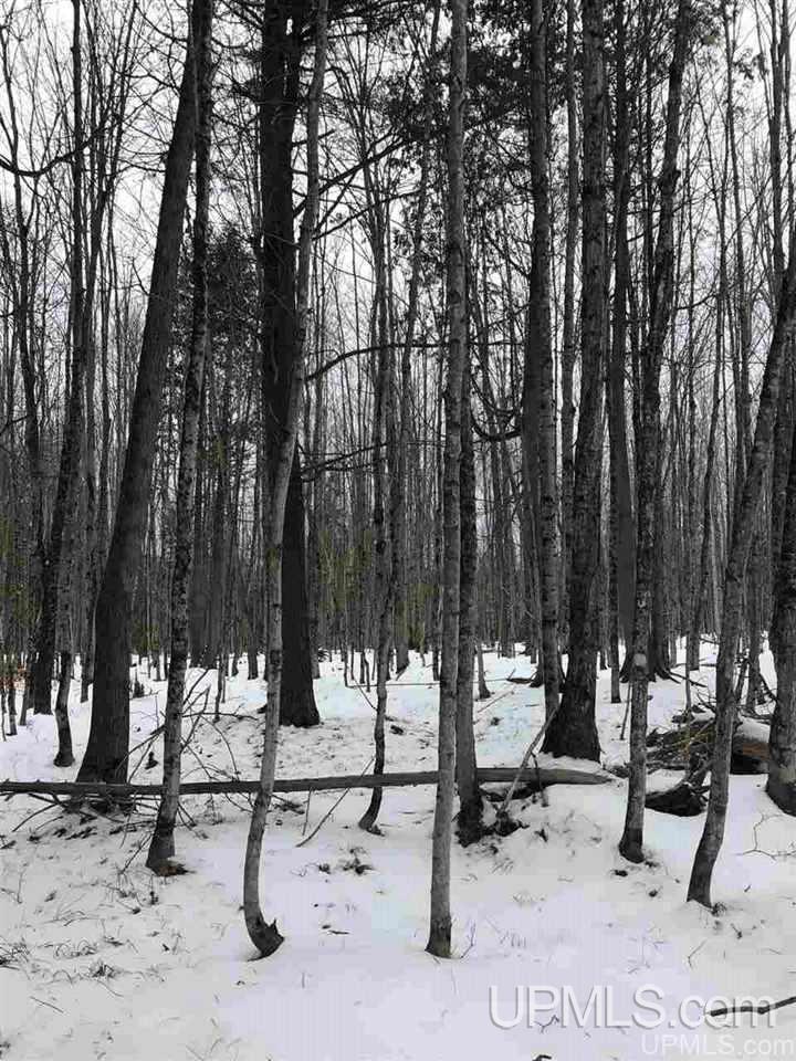 Tbd Off River Road, Unit 2 Hermansville, MI 49847 - Photo 33 of 34