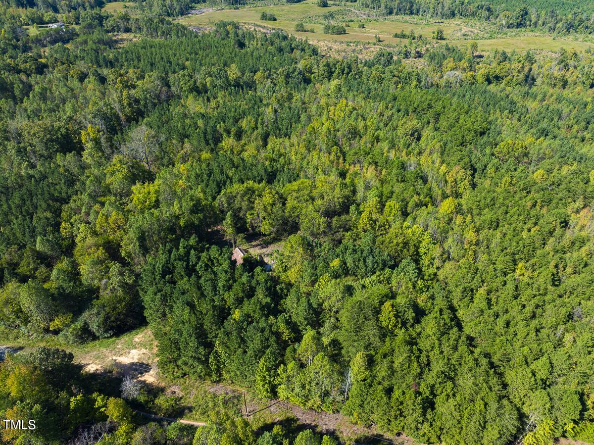 Lot-7-00 Wilson Road Providence, NC 27315 - Photo 11 of 41 Caswell Co. NC 10.03-Backwoods-Lot 7-11