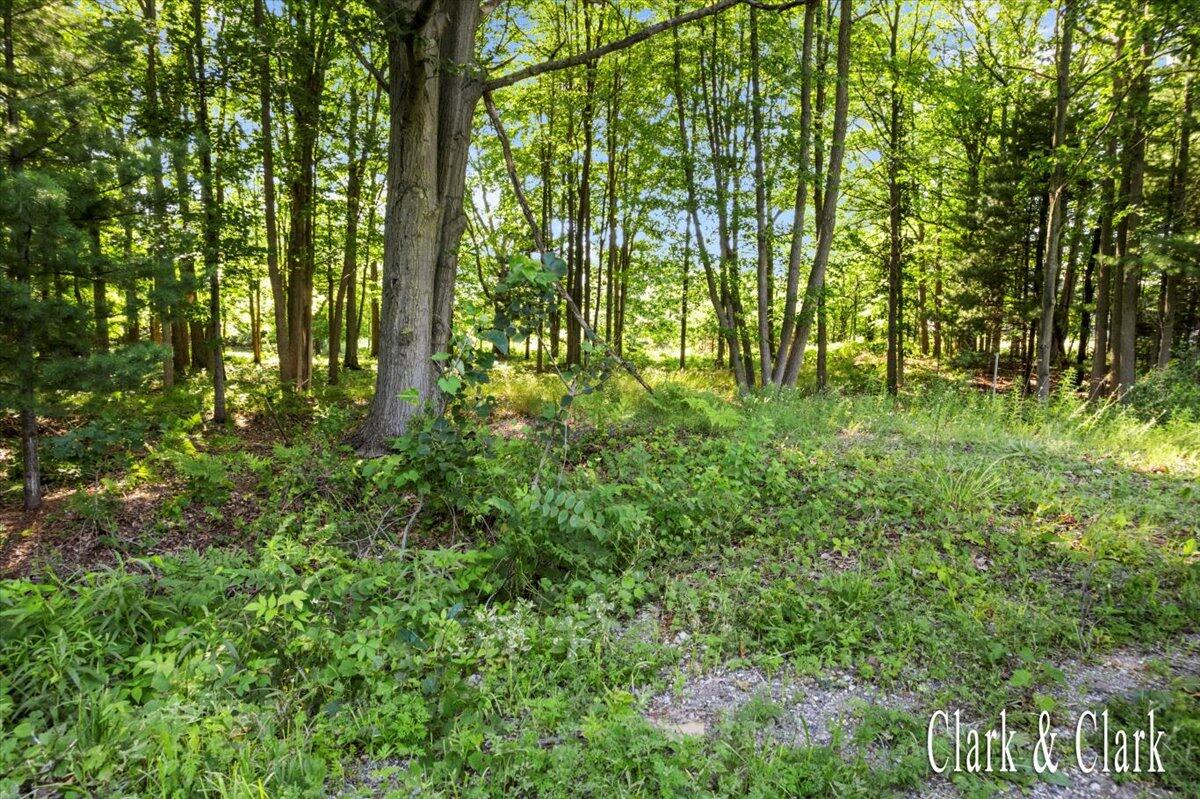 168th Ave Spring Lake Spring Lake, MI 49456 - Photo 5 of 7 5-DJI_0314