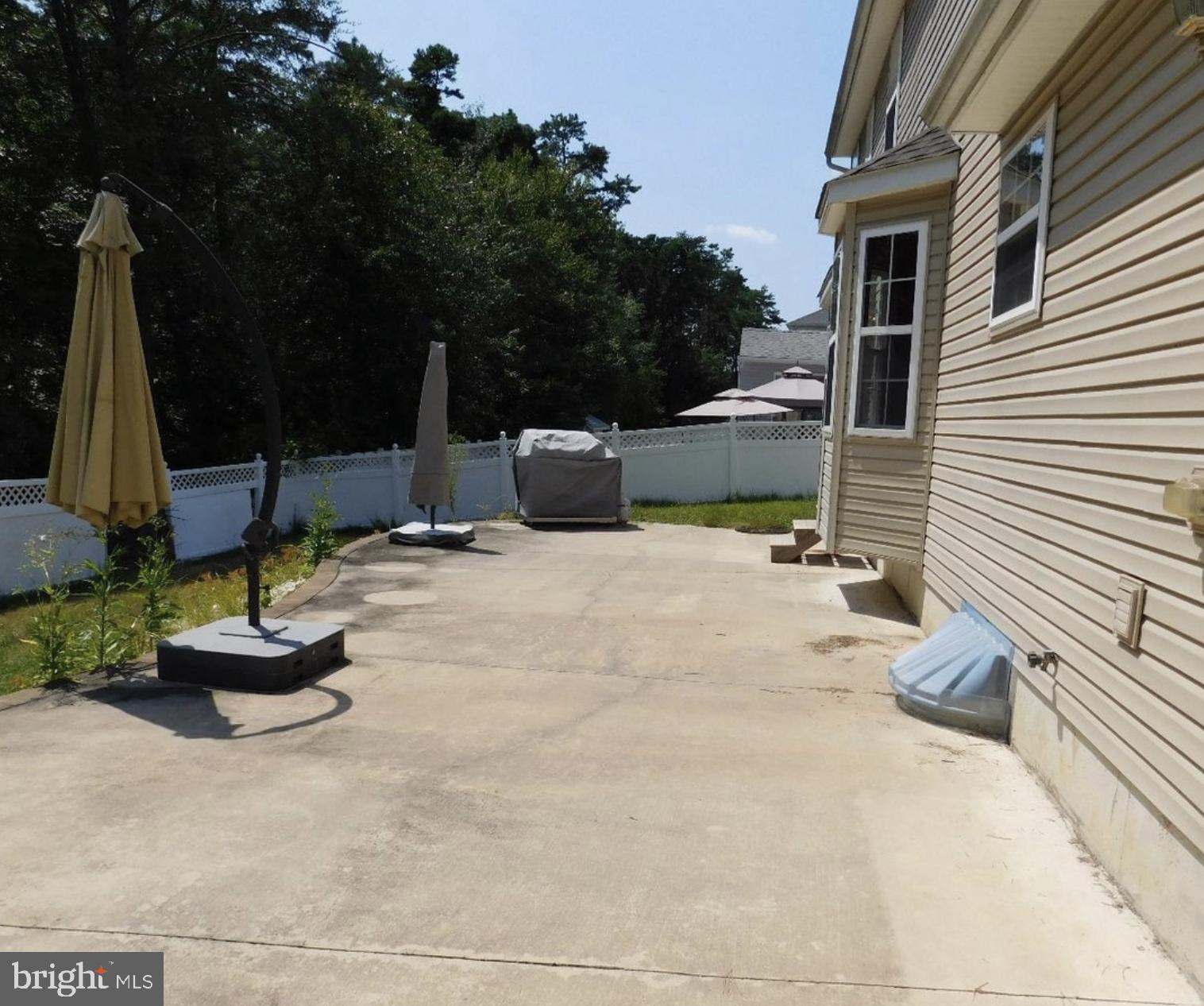 Back yard