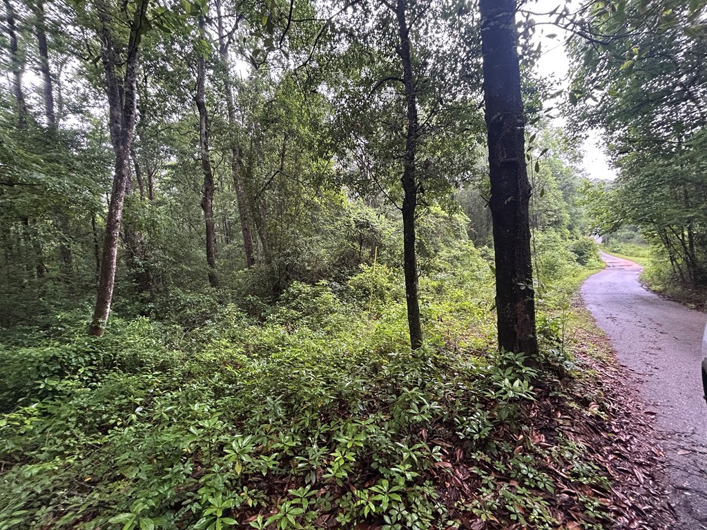 0 Holmes Road Newton, AL 36352 - Photo 2 of 8