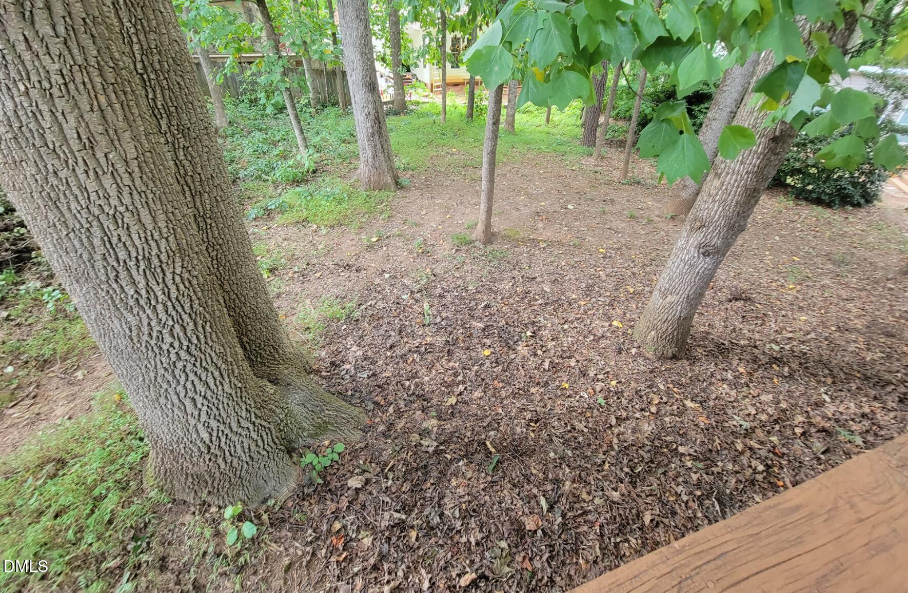105 Leeward Court Cary, NC 27511 - Photo 25 of 27 a view of a forest with trees in the background