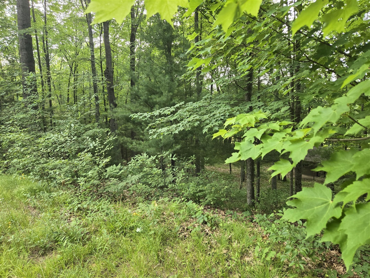 8207 North Hunters Ridge Drive Irons, MI 49644 - Photo 8 of 14