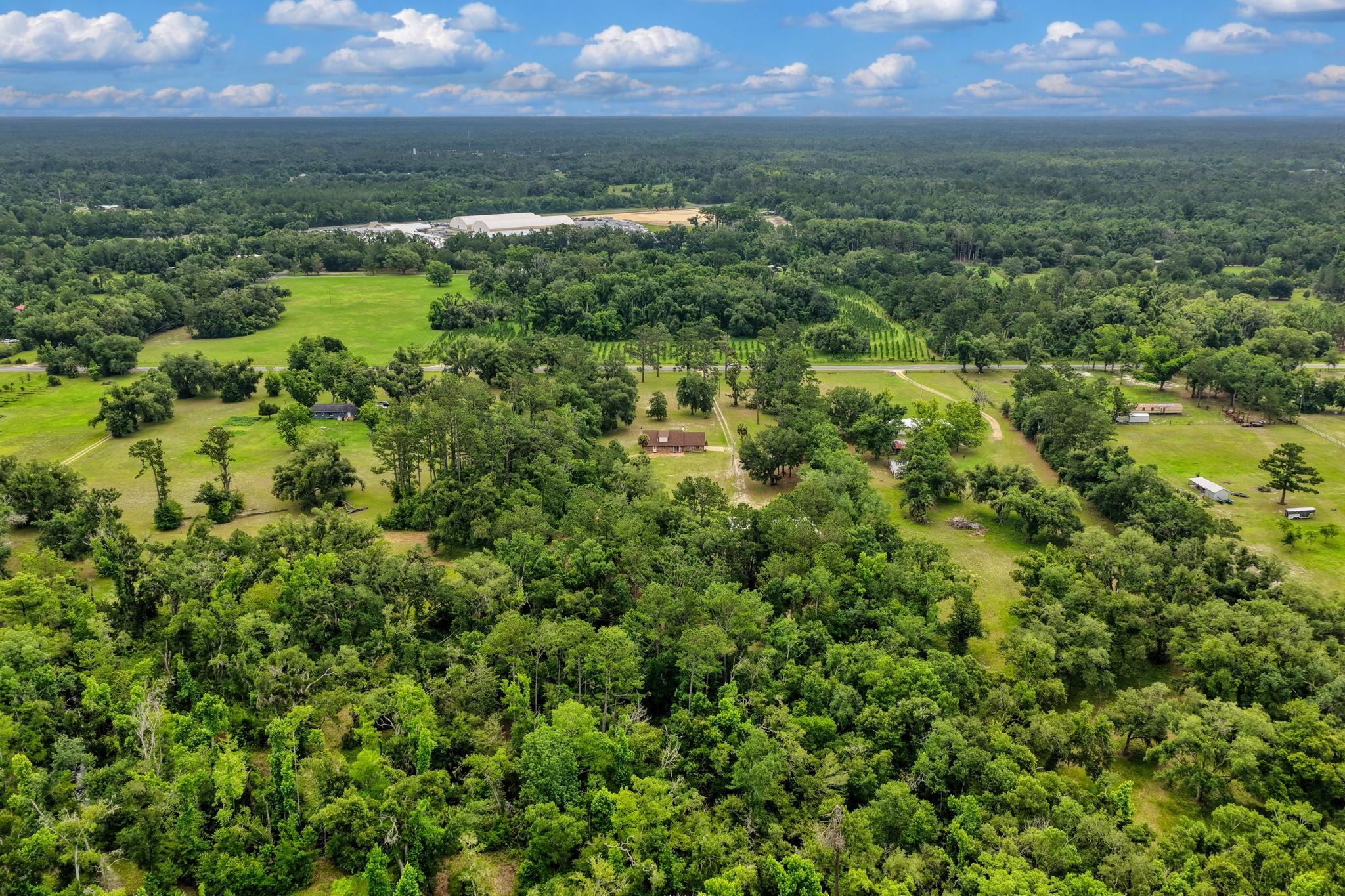 3645 Slaughter Road Perry, FL 32347 - Photo 41 of 51