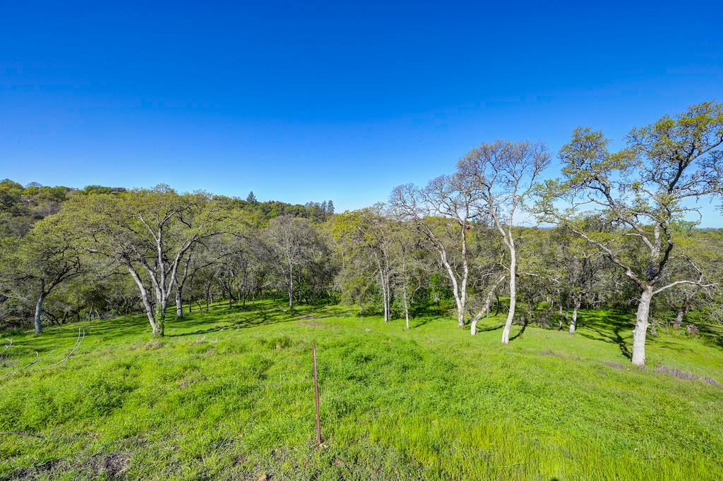 310 Raphael Court El Dorado Hills, CA 95762 - Photo 1 of 13 a view of green field with trees