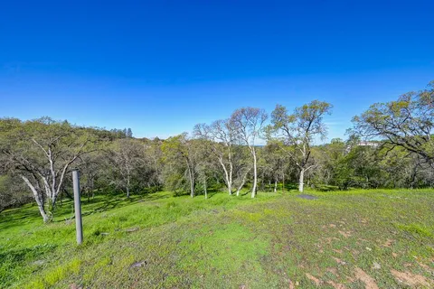 a view of a grassy field with trees in the background
