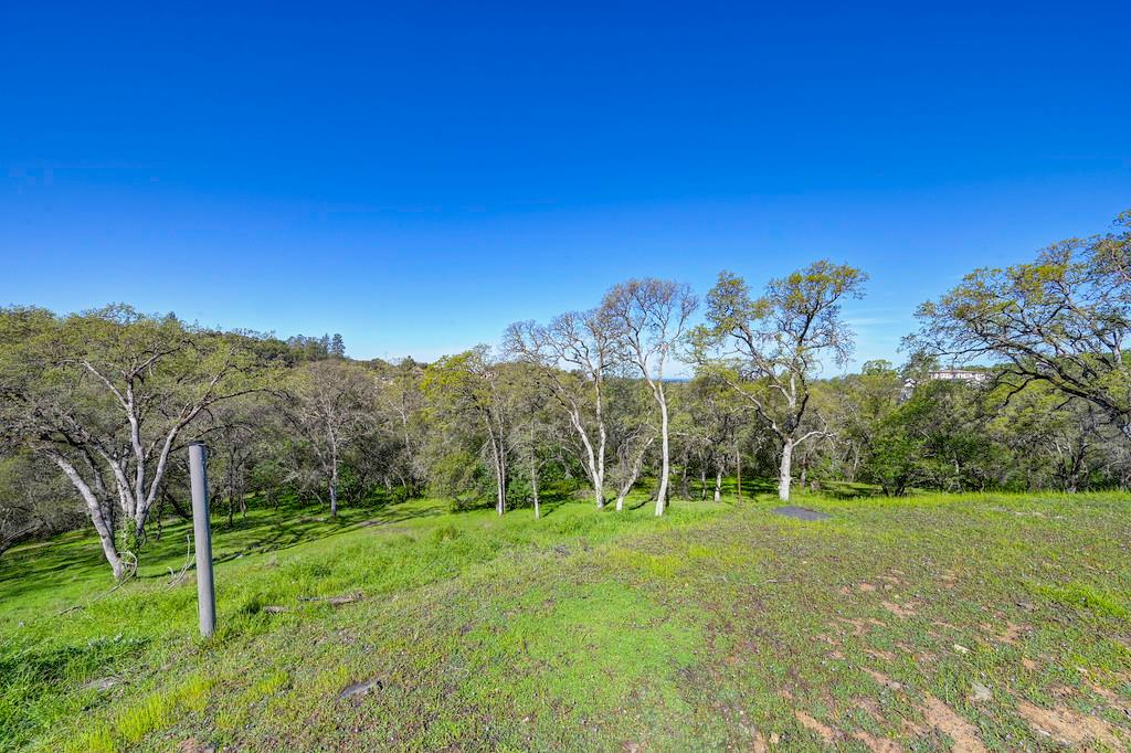 310 Raphael Court El Dorado Hills, CA 95762 - Photo 4 of 13 a view of a grassy field with trees in the background