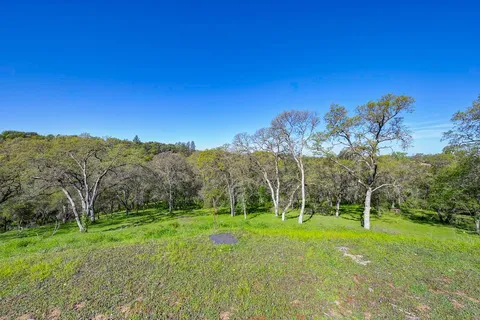 a view of a park with large trees