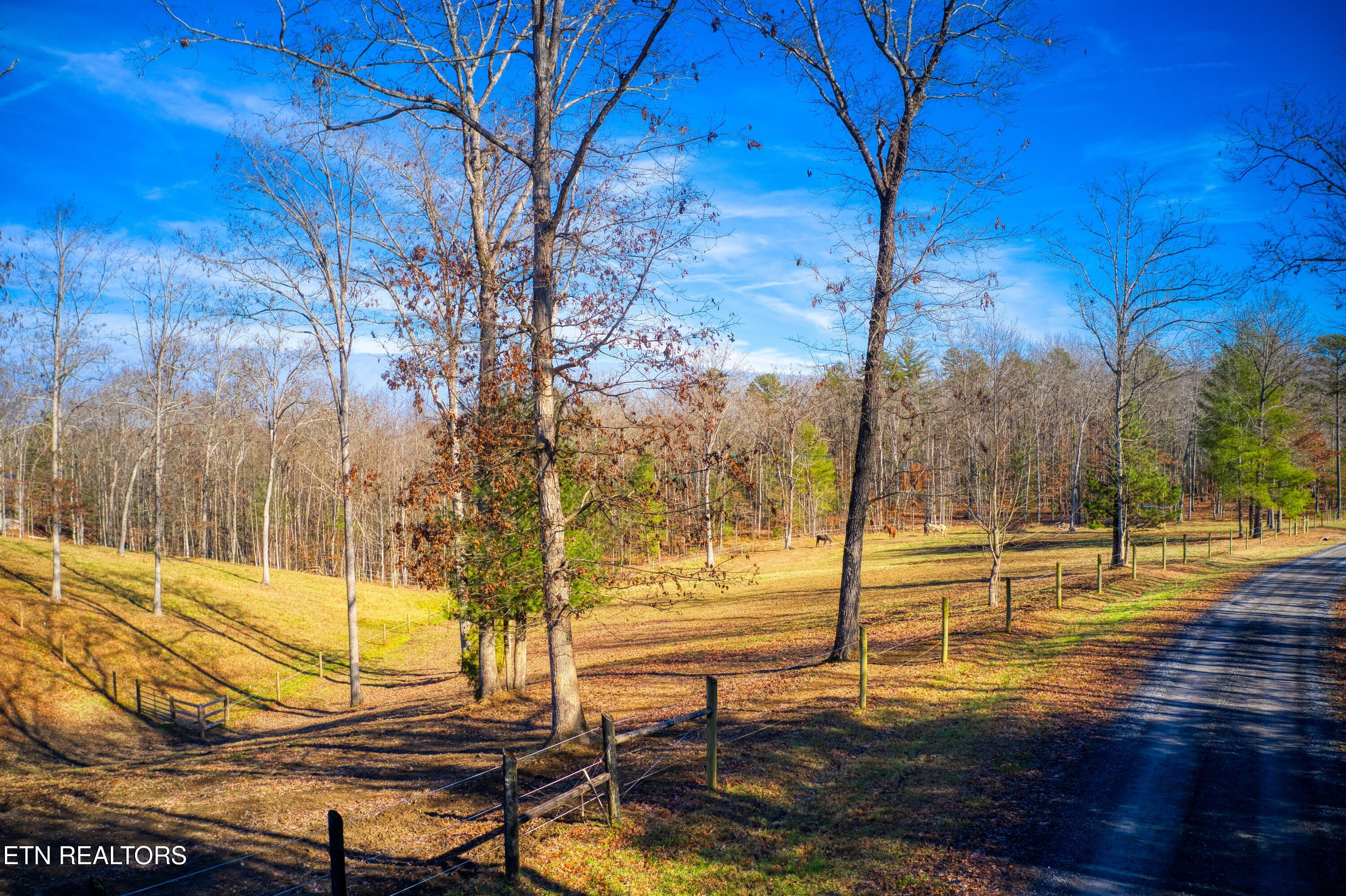 250 Briar Point Road Allardt, TN 38504 - Photo 56 of 59 DJI_0945