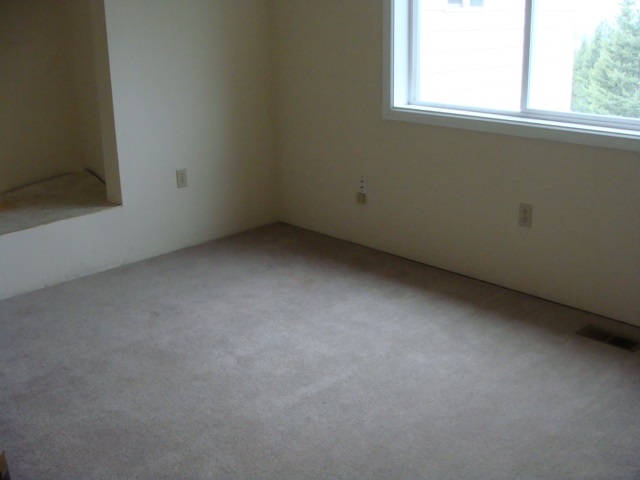 29111 North Conklin Road Chattaroy, WA 99003 - Photo 13 of 18