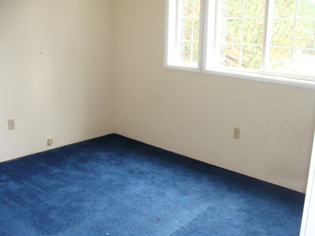 29111 North Conklin Road Chattaroy, WA 99003 - Photo 15 of 18