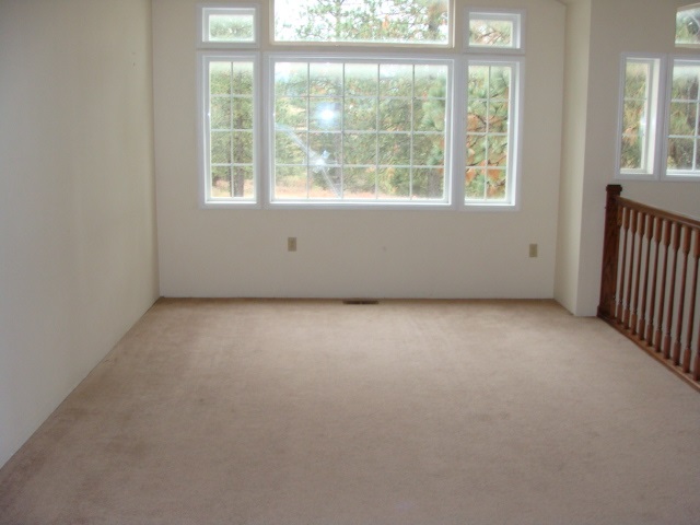 29111 North Conklin Road Chattaroy, WA 99003 - Photo 8 of 18