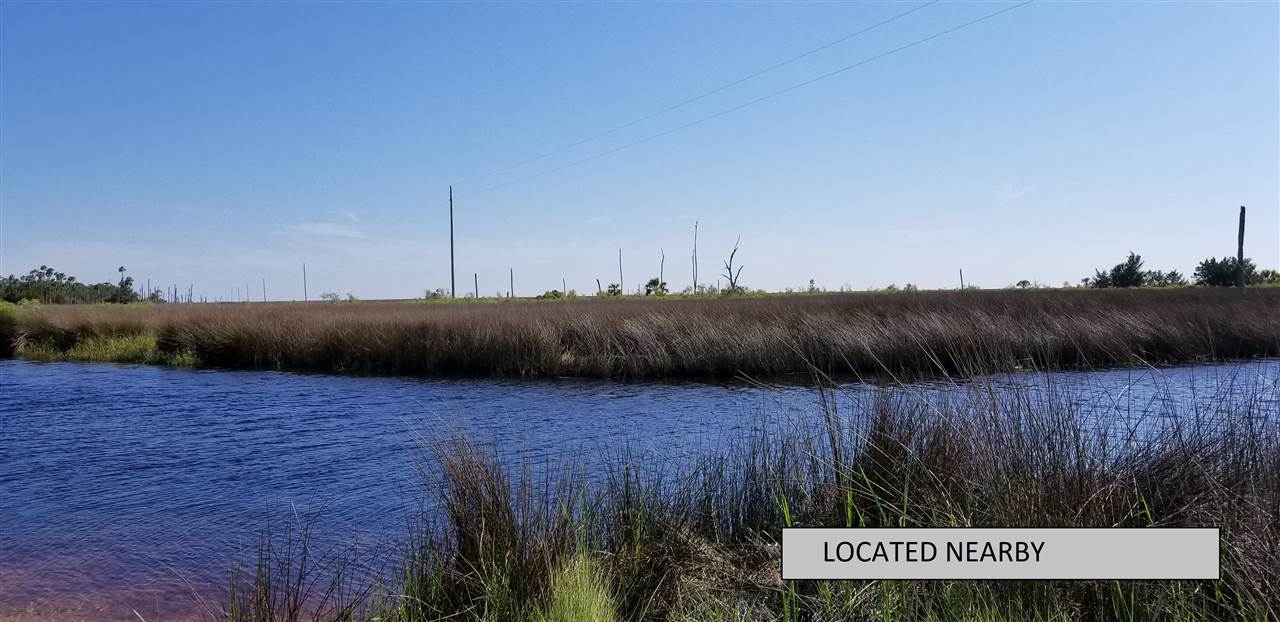 Vacant Forest Street Perry, FL 32348 - Photo 13 of 30 Gallery Image 13