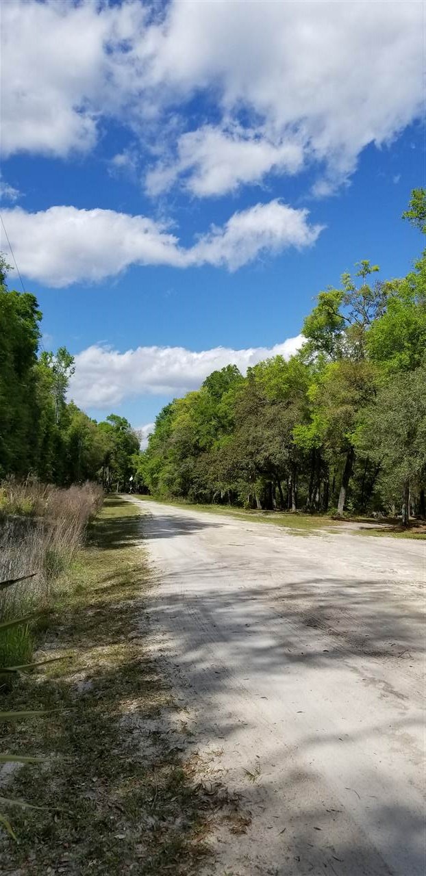 Vacant Forest Street Perry, FL 32348 - Photo 16 of 30 Gallery Image 16