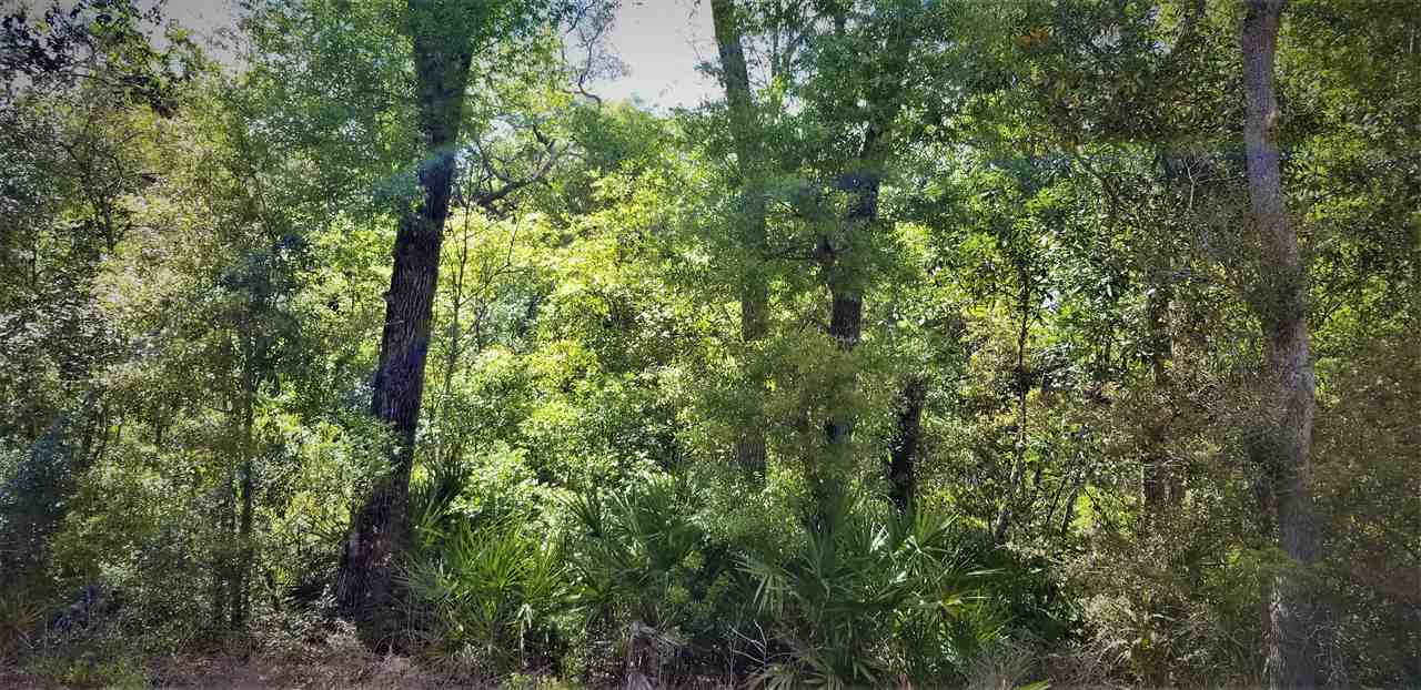 Vacant Forest Street Perry, FL 32348 - Photo 17 of 30 Gallery Image 17
