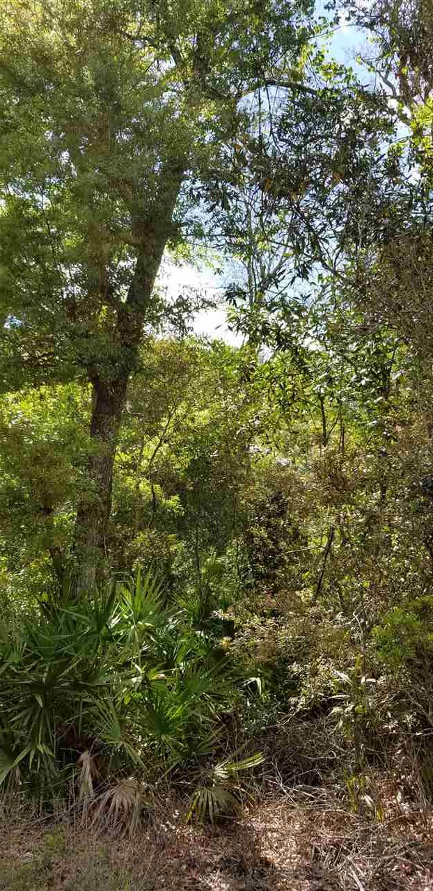 Vacant Forest Street Perry, FL 32348 - Photo 19 of 30 Gallery Image 19
