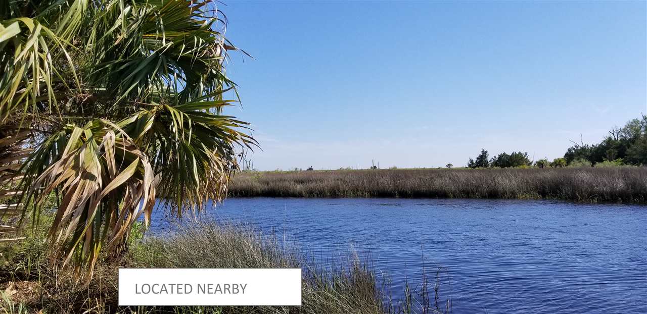 Vacant Forest Street Perry, FL 32348 - Photo 2 of 30 Gallery Image 2