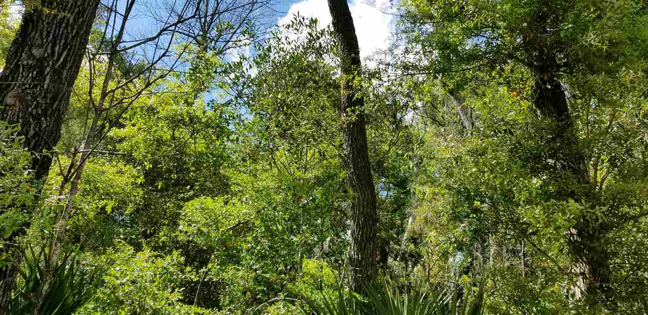 Vacant Forest Street Perry, FL 32348 - Photo 21 of 30 Gallery Image 21