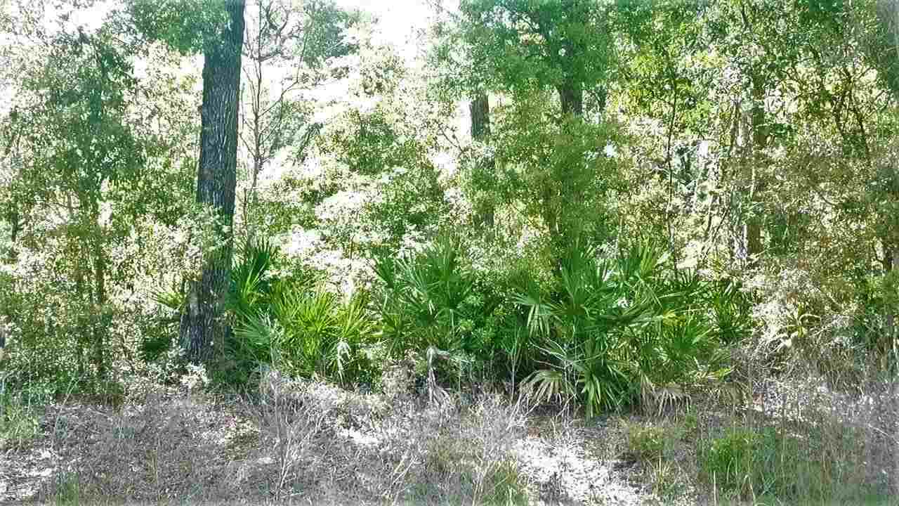 Vacant Forest Street Perry, FL 32348 - Photo 29 of 30 Gallery Image 29