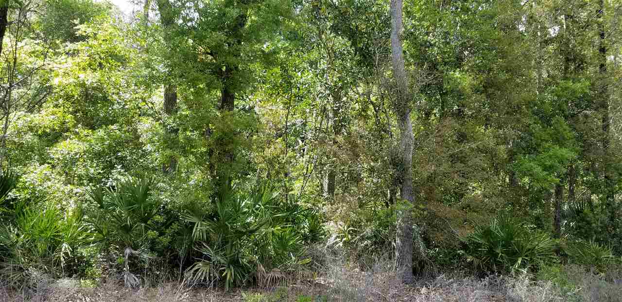 Vacant Forest Street Perry, FL 32348 - Photo 30 of 30 Gallery Image 30
