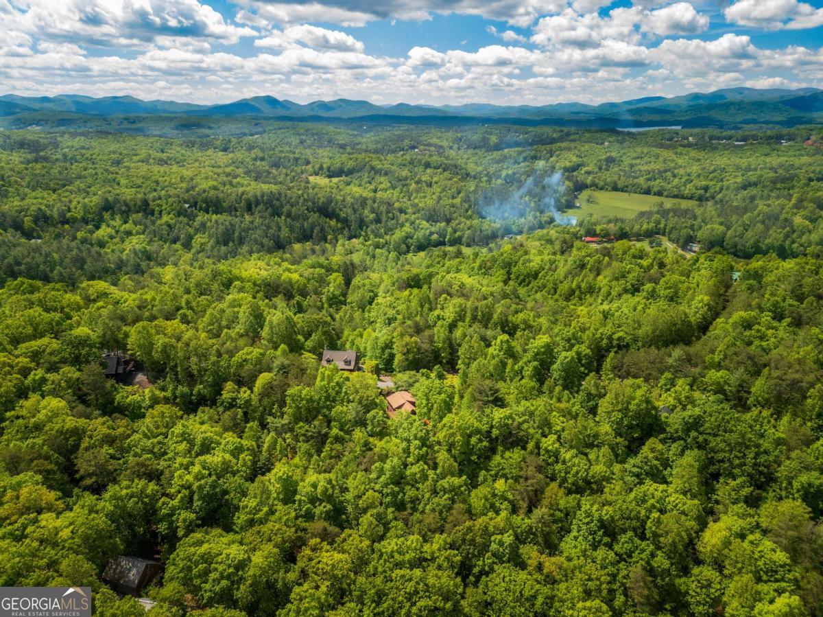 1600 My Mountain Road Morganton, GA 30560 - Photo 45 of 48
