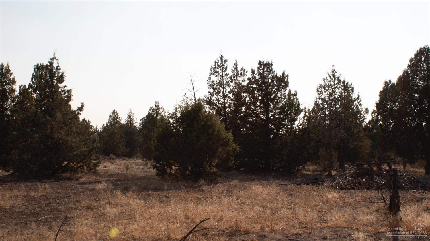 0 Southeast Falcon Ridge Road Prineville, OR 97754 - Photo 5 of 12 Additional Photo