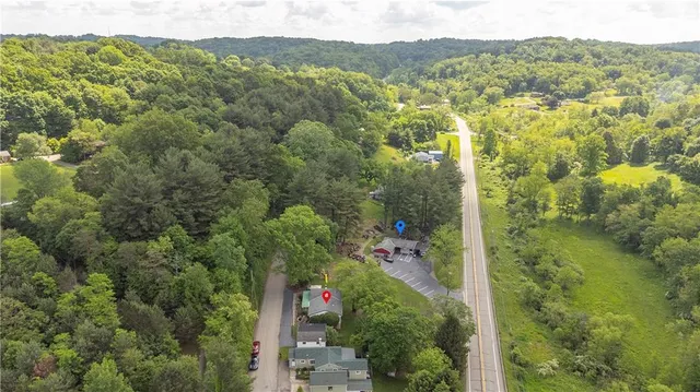 a view of a forest with a sink