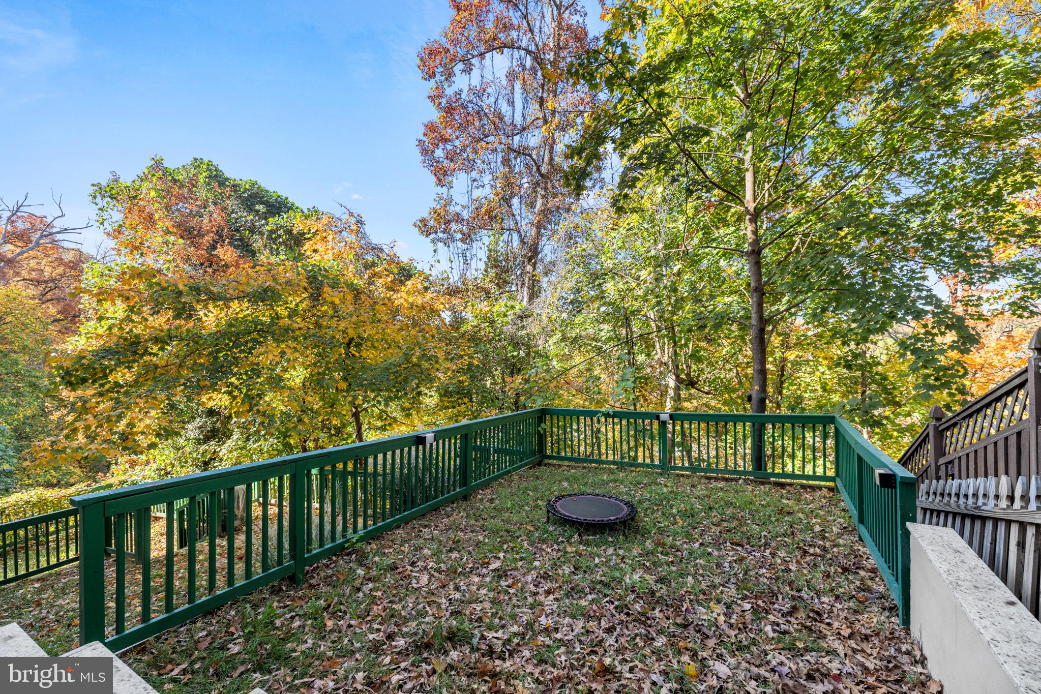 2800 Adams Mill Road Northwest, Unit 2 Washington, DC 20009 - Photo 31 of 32 a view of a garden with a bench