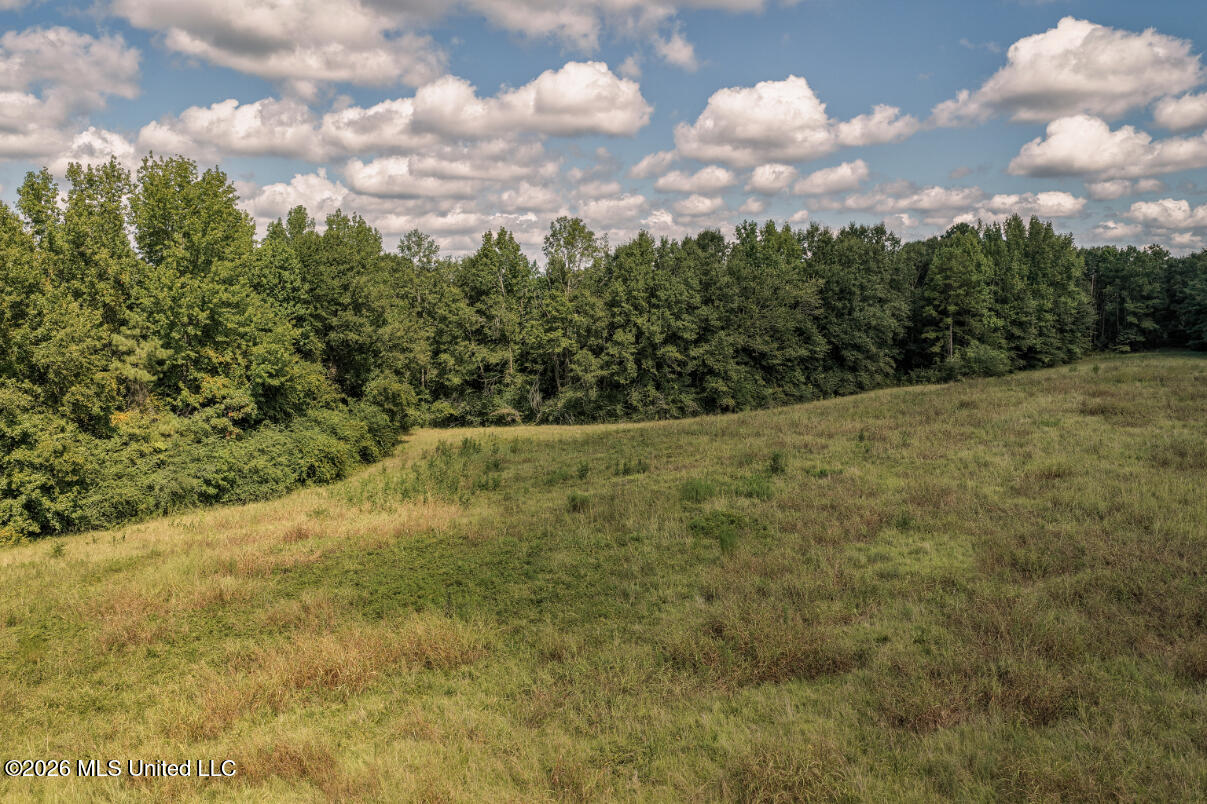 Craft Road Magee, MS 39111 - Photo 24 of 39 DJI_20260813110358_0596_D