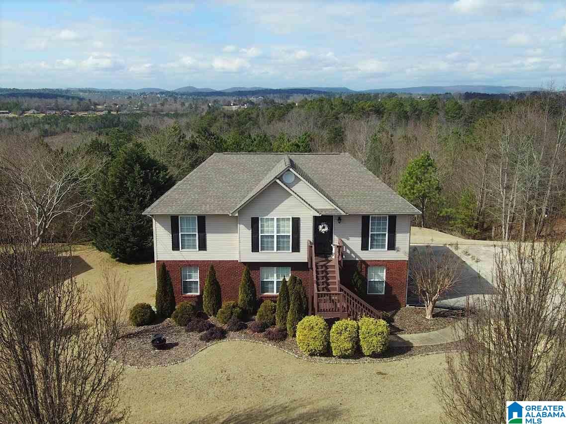 287 Hidden Ridge Drive Odenville, AL 35120 - Photo 1 of 28